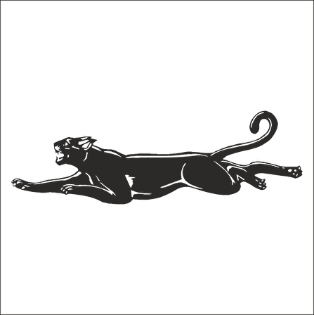 PANTER FOLYO STİCKER