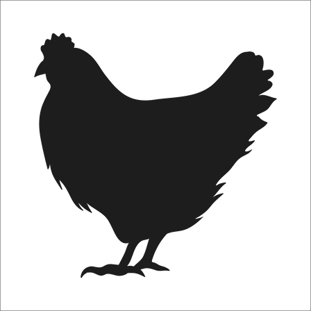 TAVUK  FOLYO STİCKER