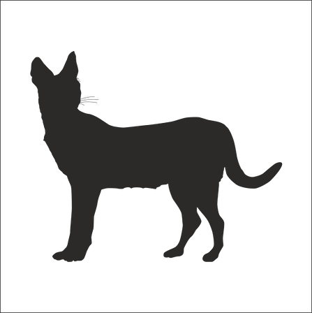 VAŞAK FOLYO STİCKER