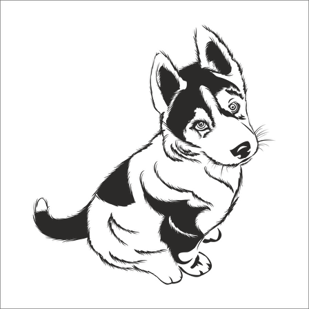 YAVRU KURT FOLYO STİCKER