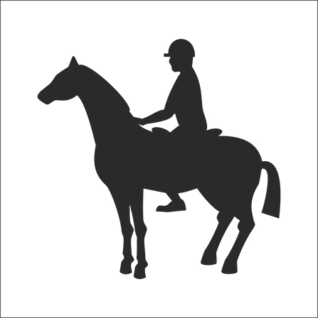 BİNİCİ FOLYO STİCKER