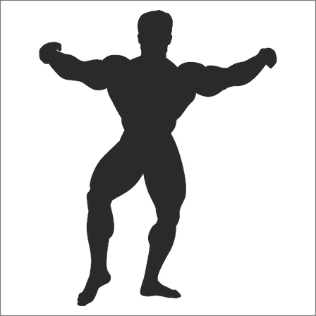 BODY GYM FOLYO STİCKER