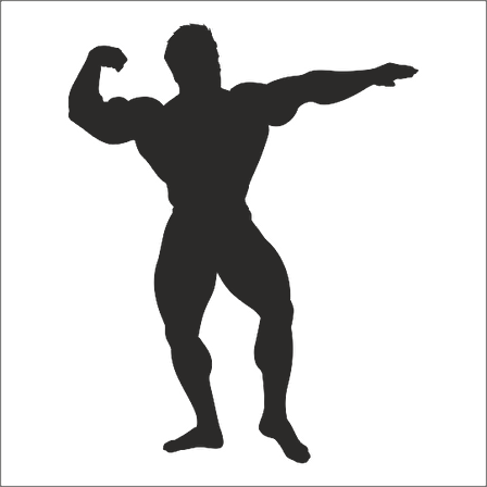 BODY GYM FOLYO STİCKER