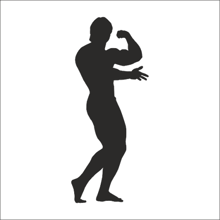 BODY GYM FOLYO STİCKER