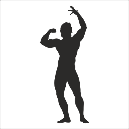 BODY GYM FOLYO STİCKER