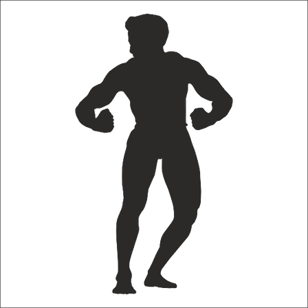 BODY GYM FOLYO STİCKER