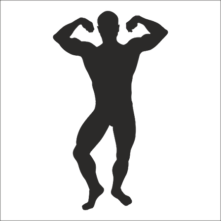 BODY GYM FOLYO STİCKER