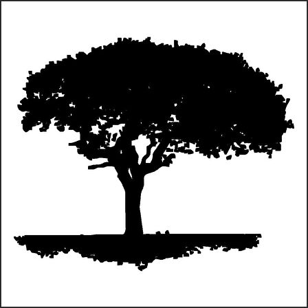 AĞAÇ VE GÜL RESİMLERİ FOLYO STİCKER