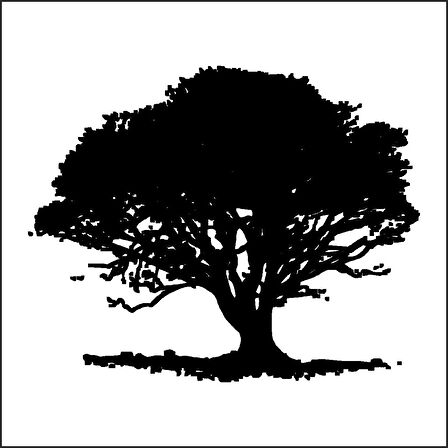 AĞAÇ VE GÜL RESİMLERİ FOLYO STİCKER