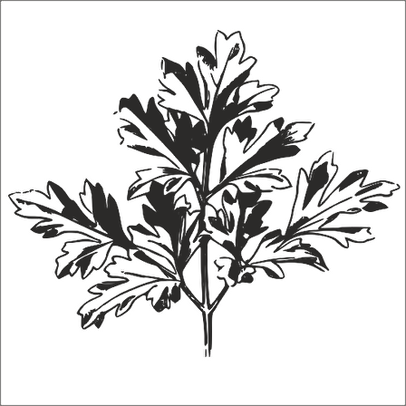 AĞAÇ VE GÜL RESİMLERİ