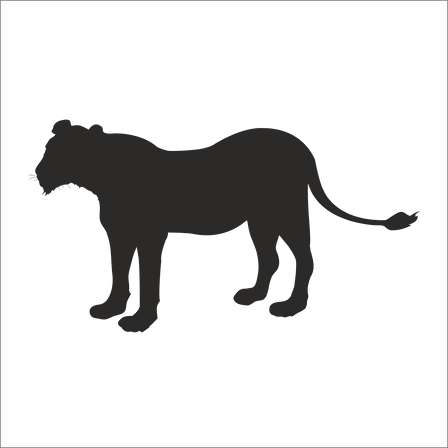 ASLAN FOLYO STİCKER