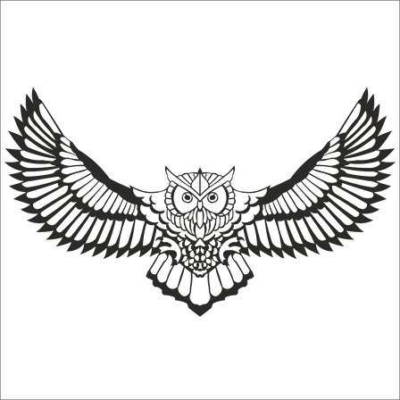 BAYKUŞ FOLYO STİCKER