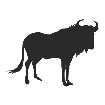 BUFALO FOLYO STİCKER