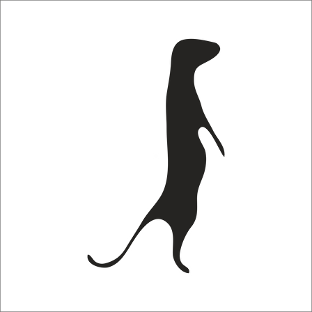 GELİNCİK FOLYO STİCKER