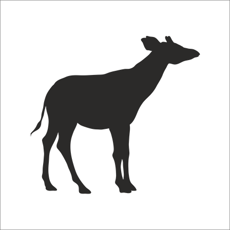 GEYİK FOLYO STİCKER