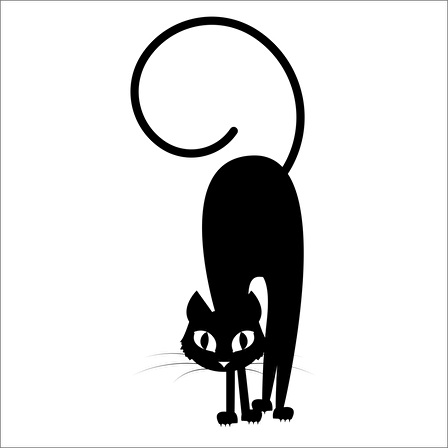 KEDİ  FOLYO STİCKER