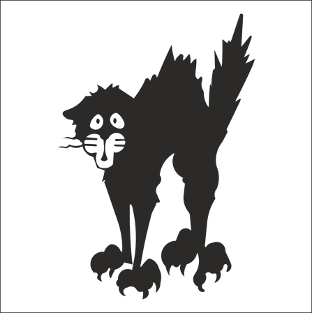 KEDİ FOLYO STİCKER