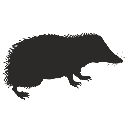 KİRPİ  FOLYO STİCKER