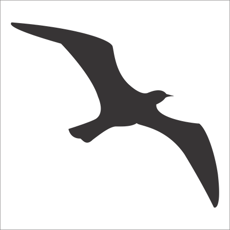 KUŞ FOLYO STİCKER