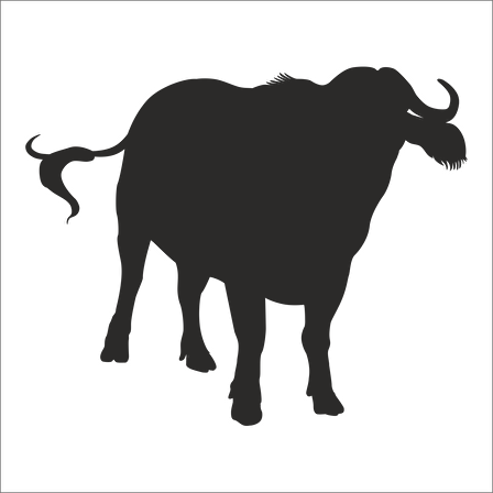 MANDA  FOLYO STİCKER