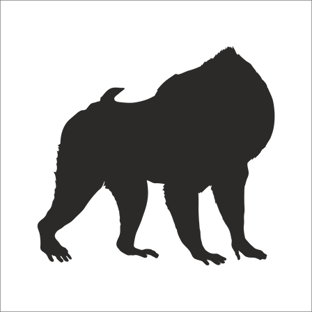 MAYMUN  FOLYO STİCKER