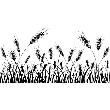 BUĞDAY BAŞAK FOLYO STİCKER