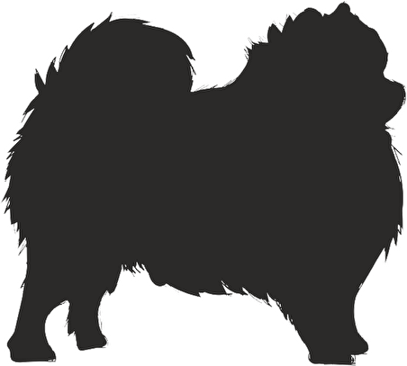 KÖPEK FOLYO STİCKER