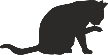 KEDİ FOLYO STİCKER