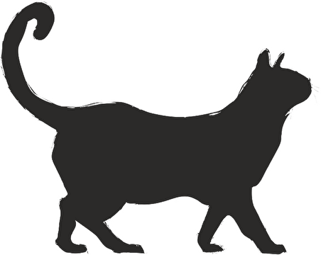 KEDİ FOLYO STİCKER