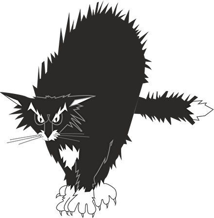 KEDİ FOLYO STİCKER