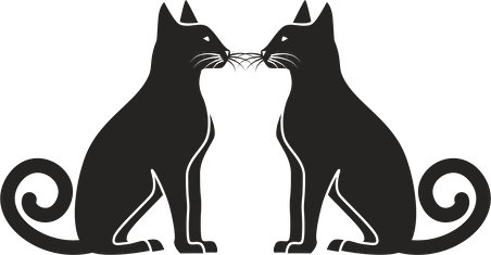 KEDİ FOLYO STİCKER