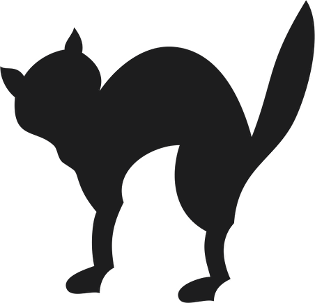 KEDİ FOLYO STİCKER