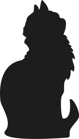 KEDİ FOLYO STİCKER