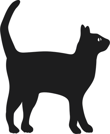 KEDİ FOLYO STİCKER