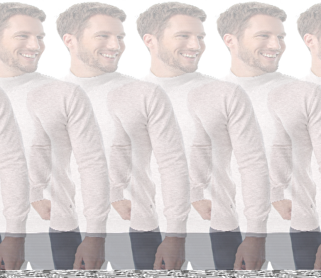 KÖPEK BALIĞI FOLYO STİCKER