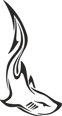 KÖPEK BALIĞI FOLYO STİCKER