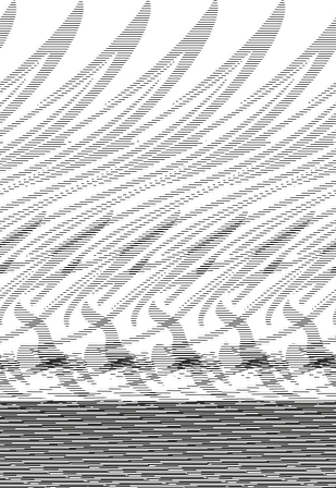 KÖPEK BALIĞI FOLYO STİCKER