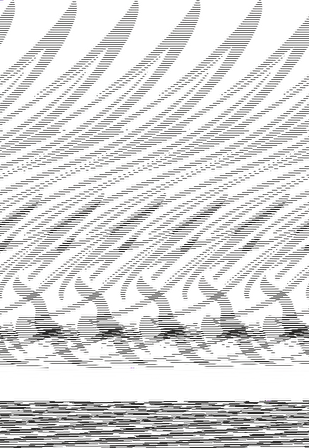 KÖPEK BALIĞI FOLYO STİCKER