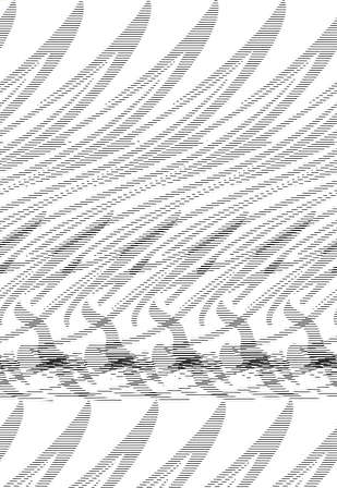 KÖPEK BALIĞI FOLYO STİCKER