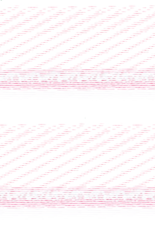 KÖPEK BALIĞI FOLYO STİCKER