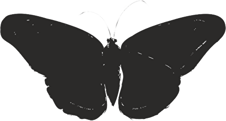 KELEBEK FOLYO STİCKER