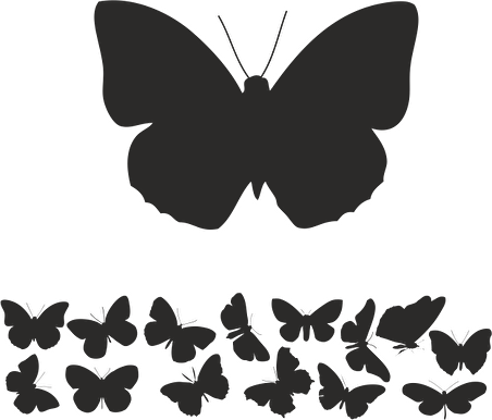 KELEBEK FOLYO STİCKER