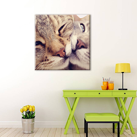 Kedi Çift  Kanvas Tablo