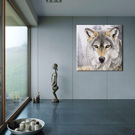 Kurt Bakışı Kanvas Tablo