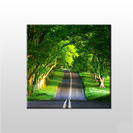 Orman İçindeki Yol Kanvas Tablo