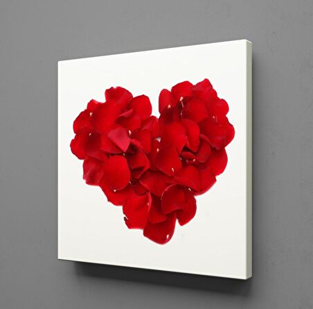 KIRMIZI GÜL YAPRAKLARINDAN KALP
