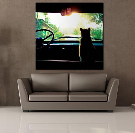 ARABADA KEDİ