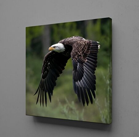 KARTAL