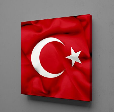 TÜRKİYE BAYRAĞI