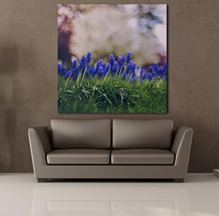 MOR ÇİÇEK TARLASI